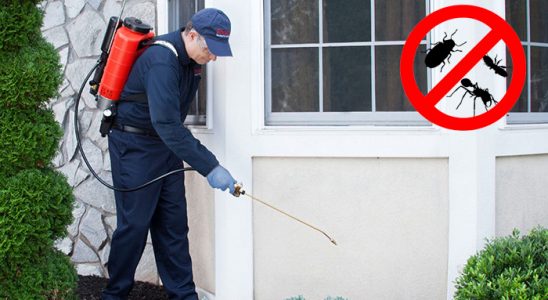 Akçadağ Bit İlaçlama böcek ilaçlama ve haşere kontrolü — ilaclama-tr.com